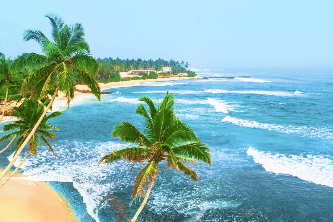 Sri Lanka: What You Need to Know Before Your Trip