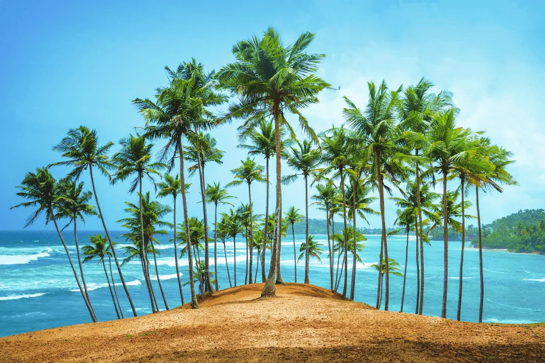 Mirissa