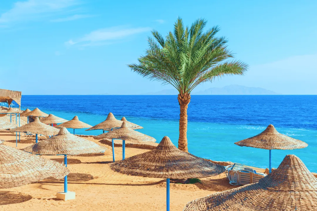 Sharm El Sheikh Resort