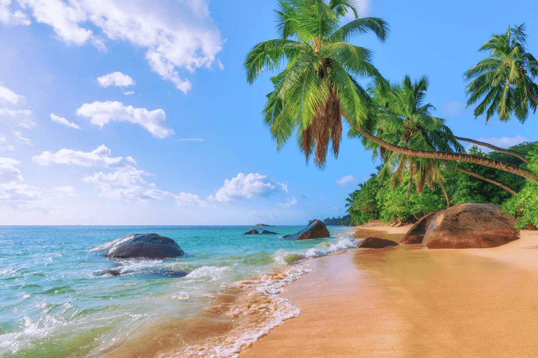 Goa beach