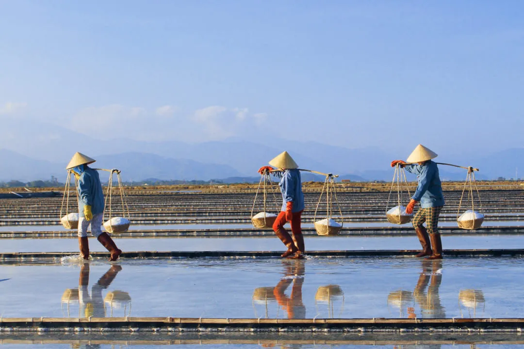Salt fields in Vietnam