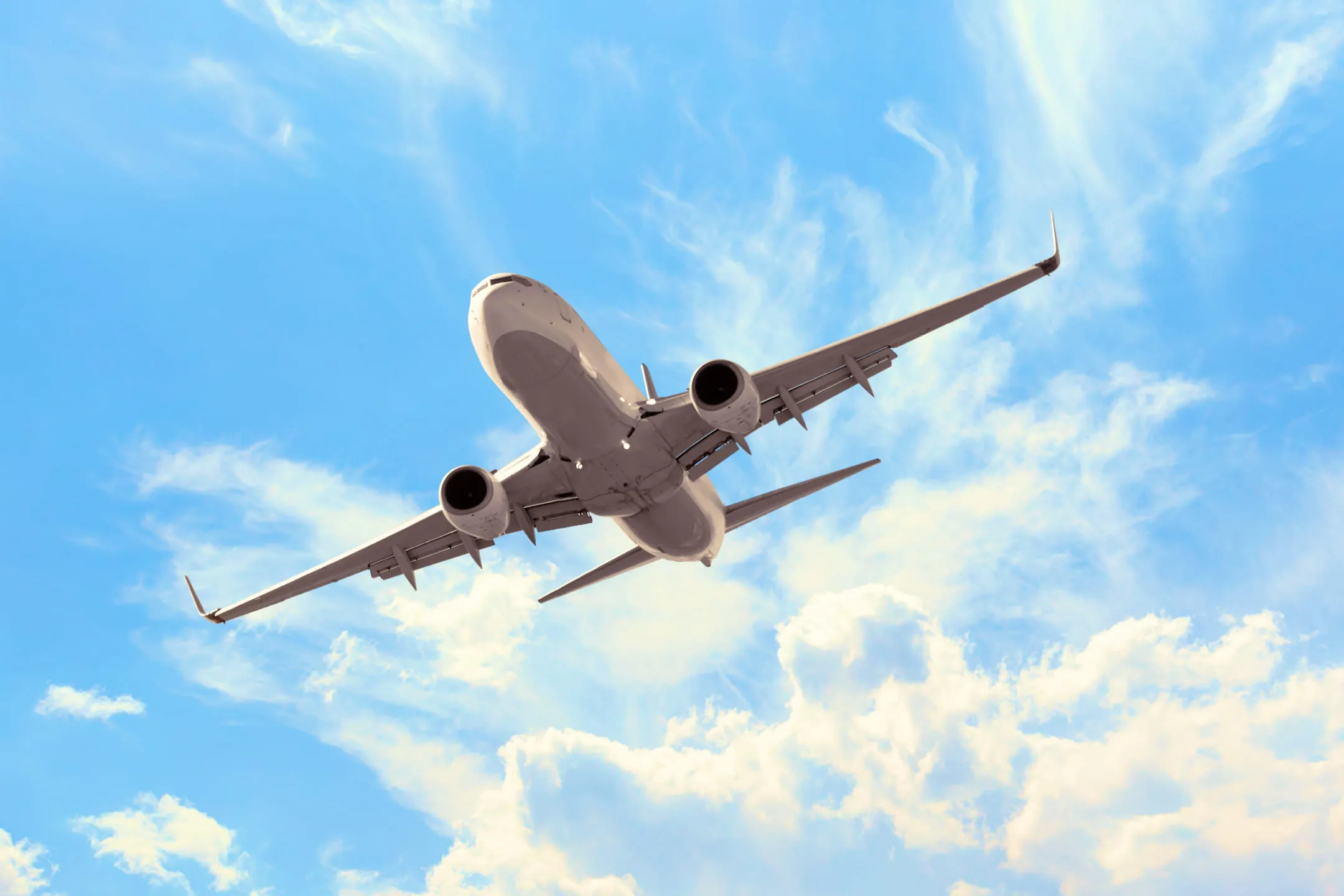 Airplane in the air