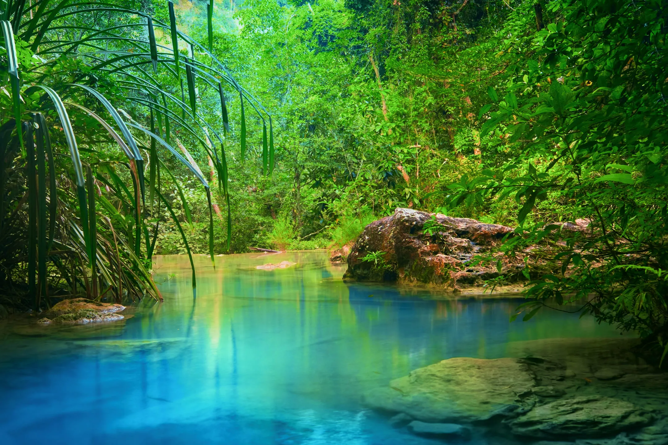 Lake in a Thai forest