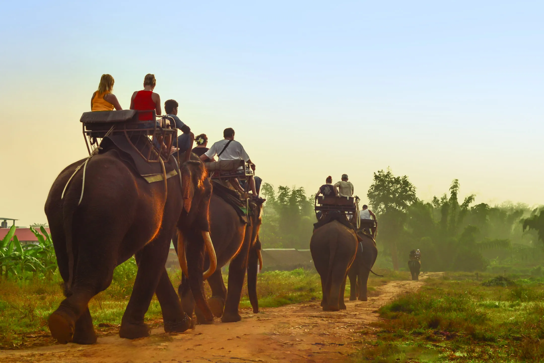 People riding elephants