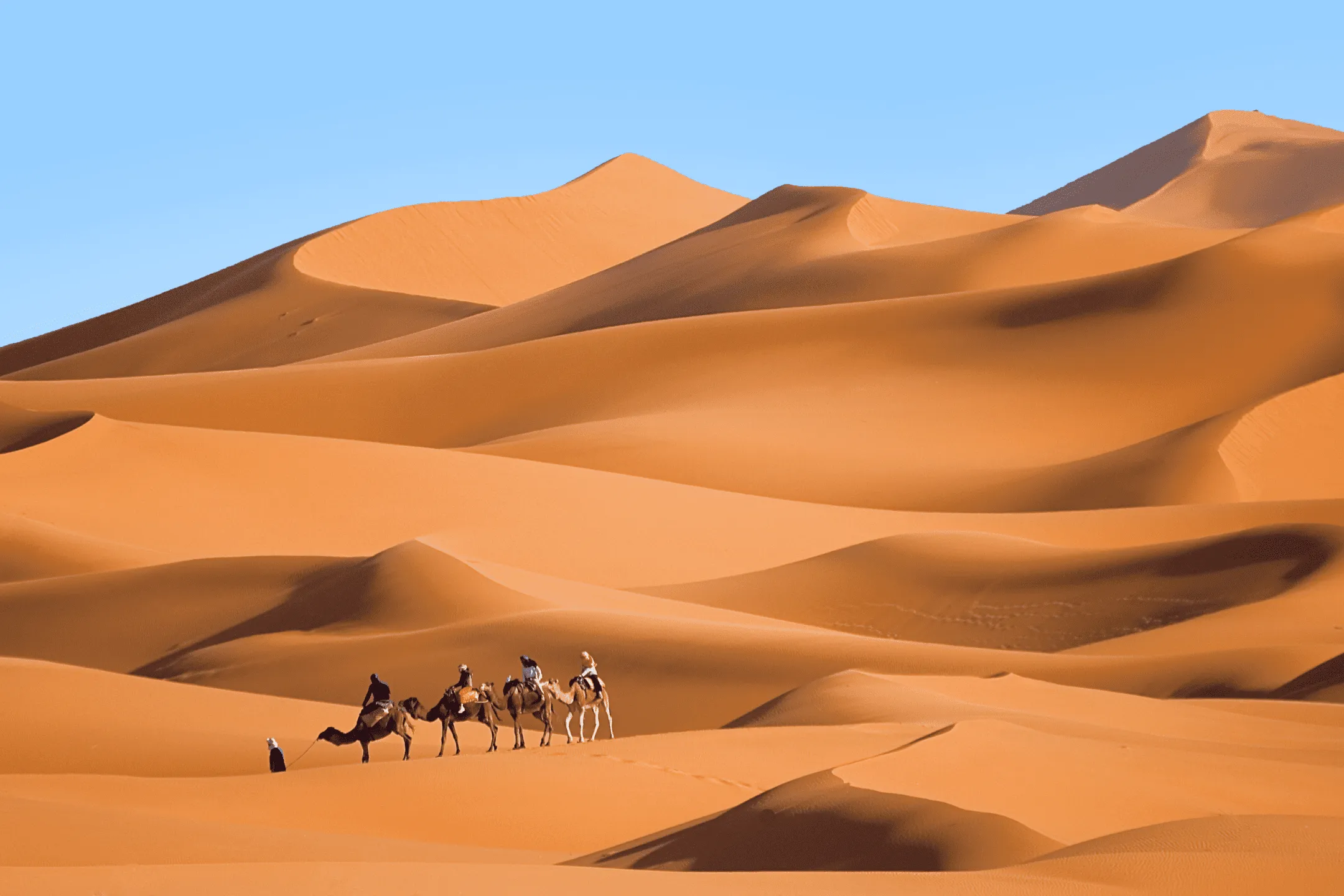 Tourist group in the desert