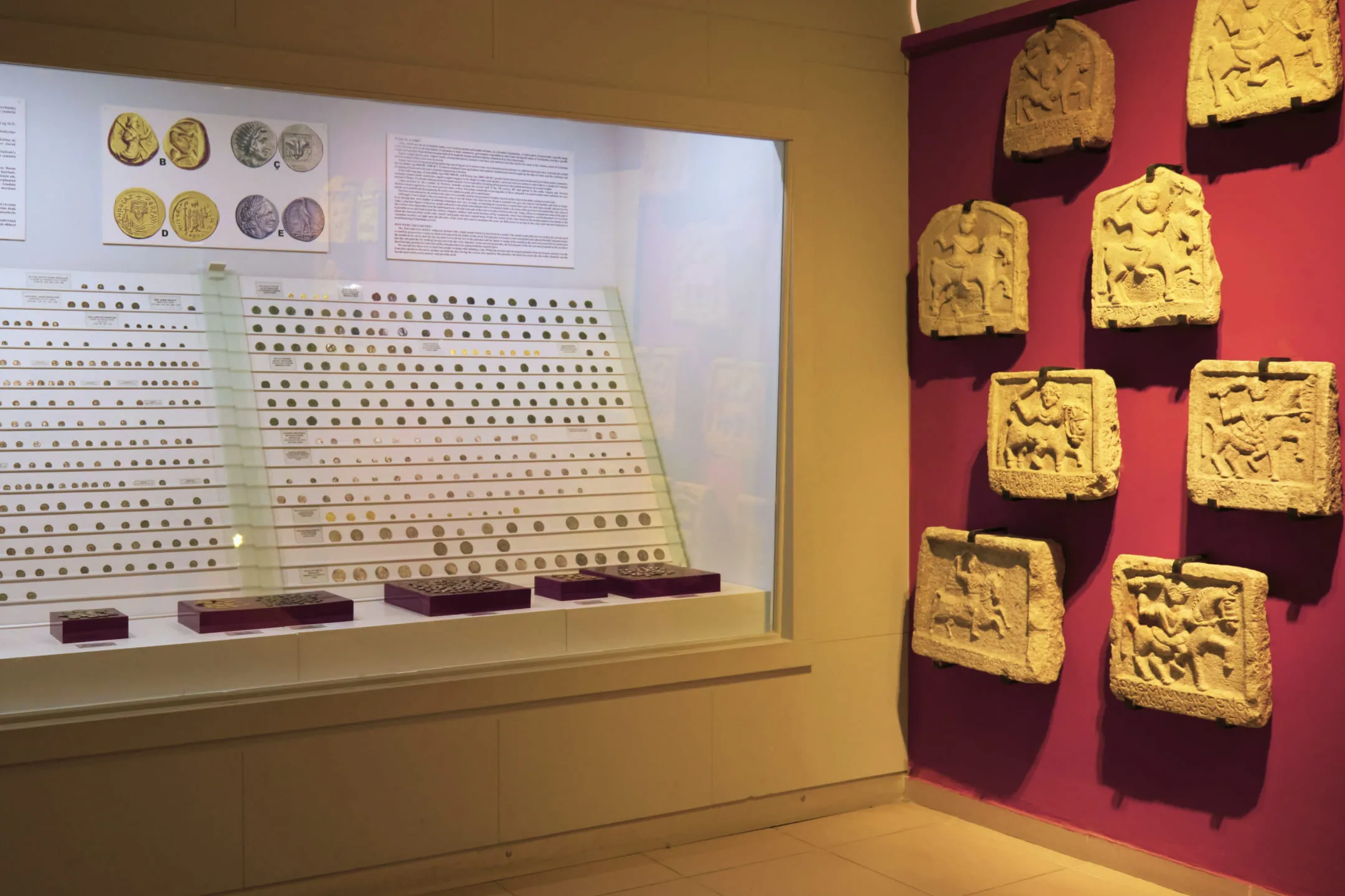 Ancient coins behind a display case