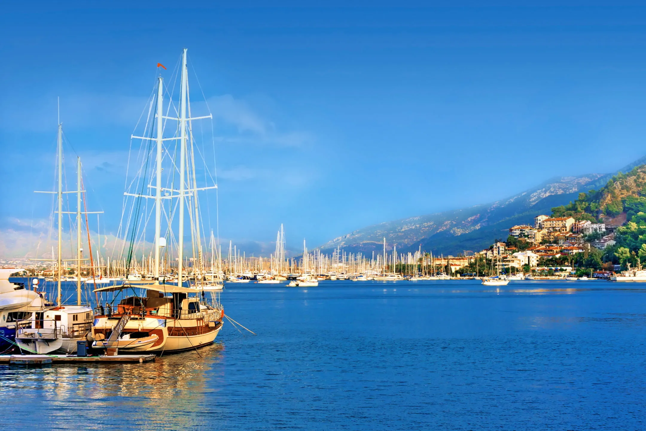 Sailboats at the pier