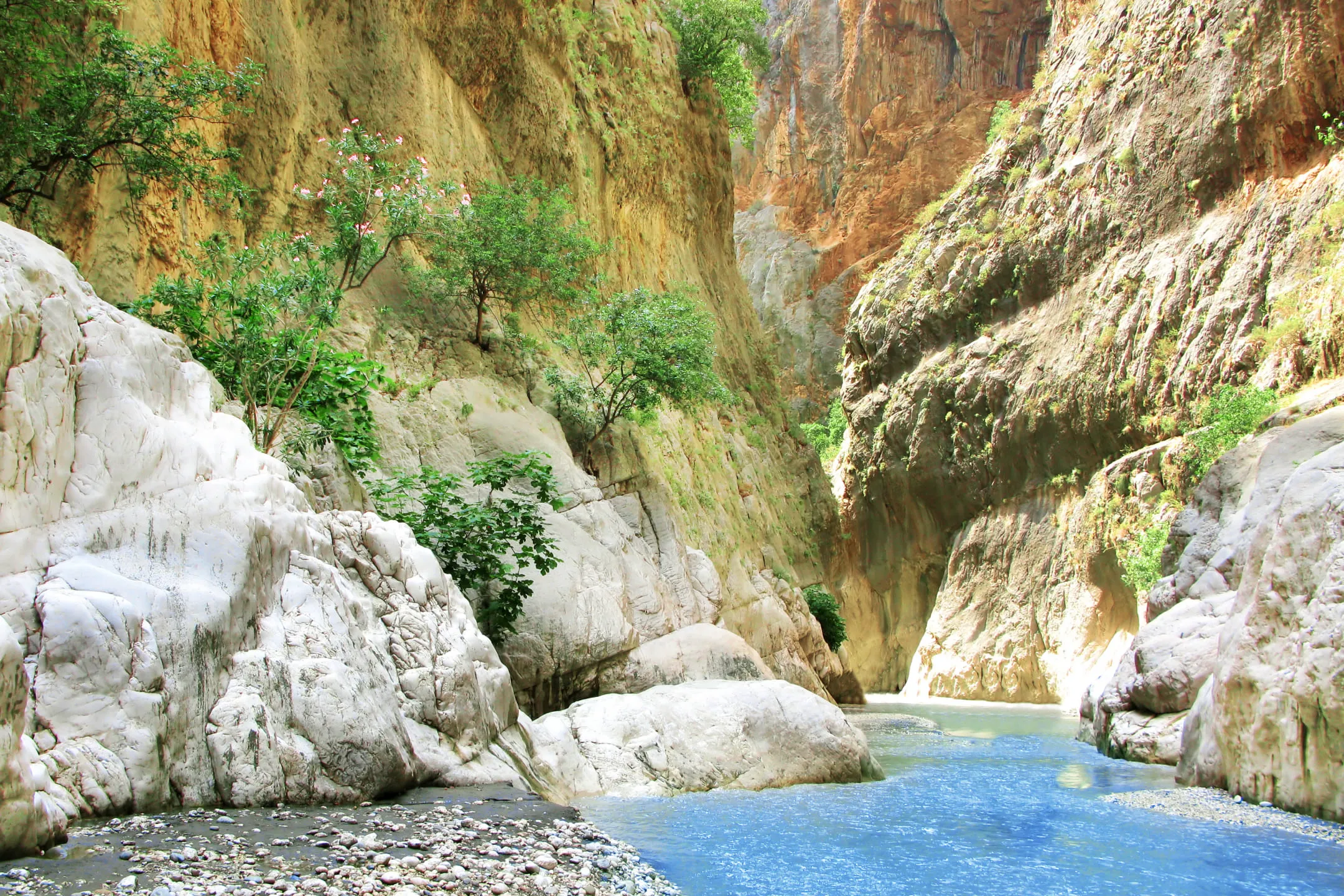 Gorge with water