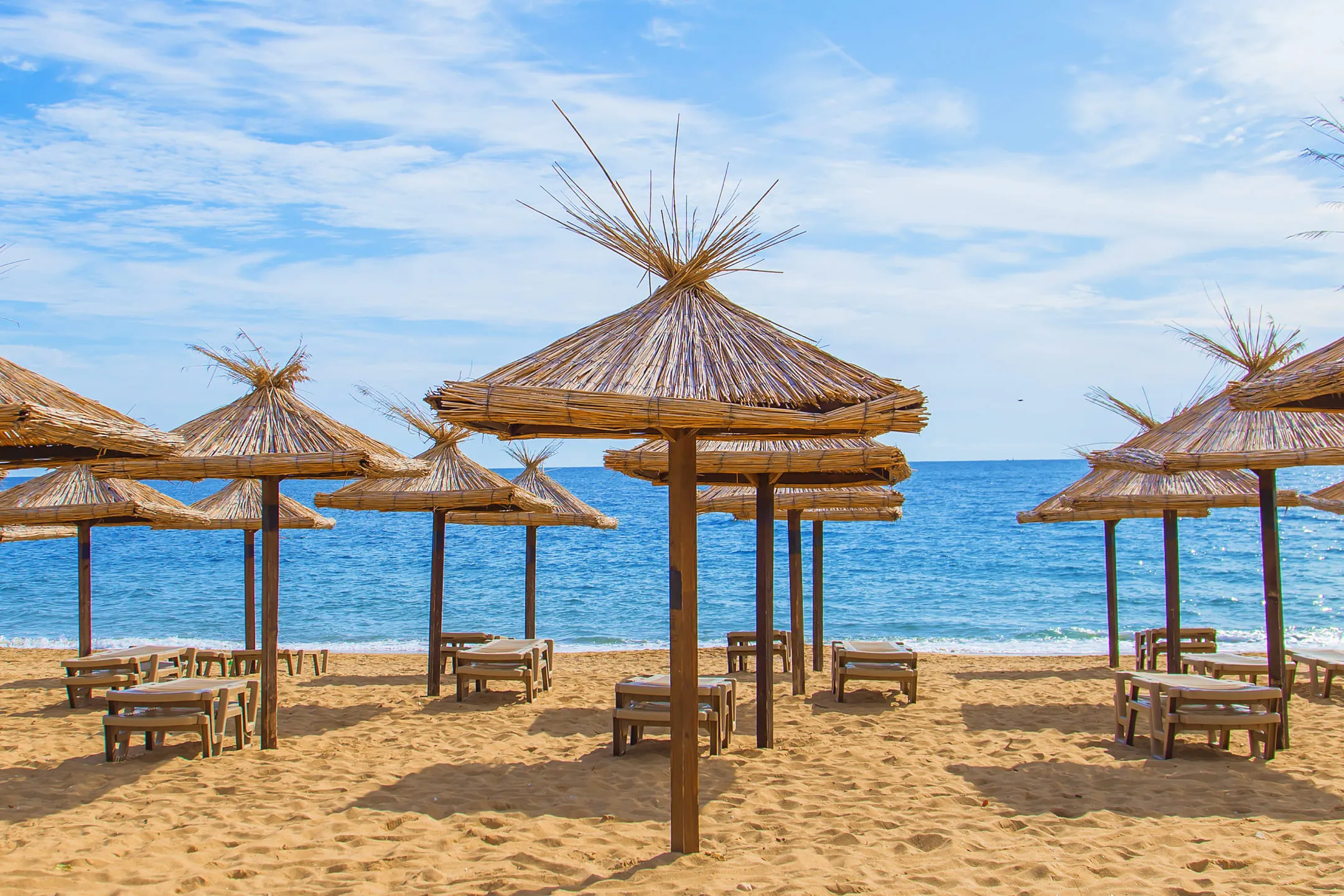 Beach umbrellas 