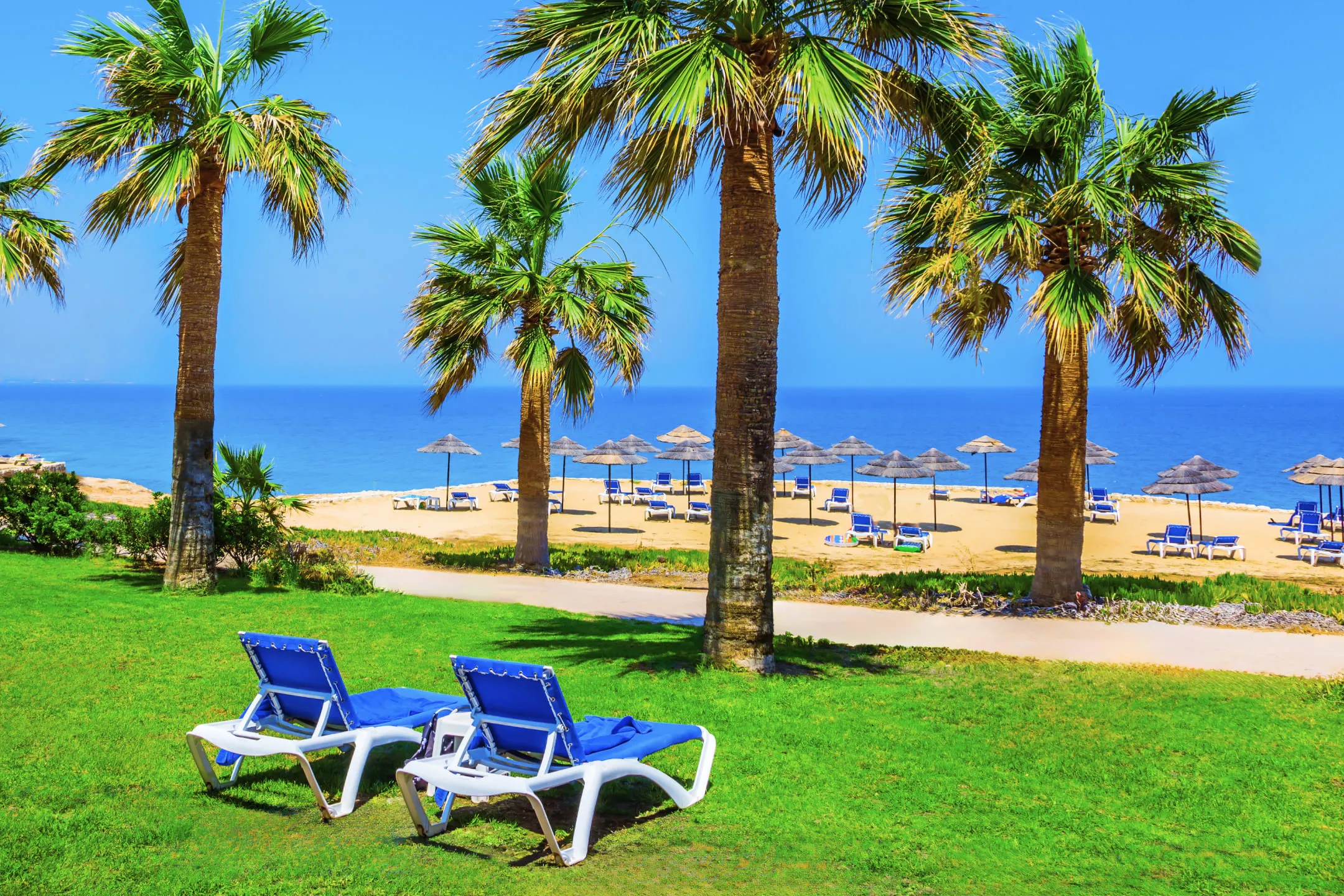Blue sun loungers on the seashore