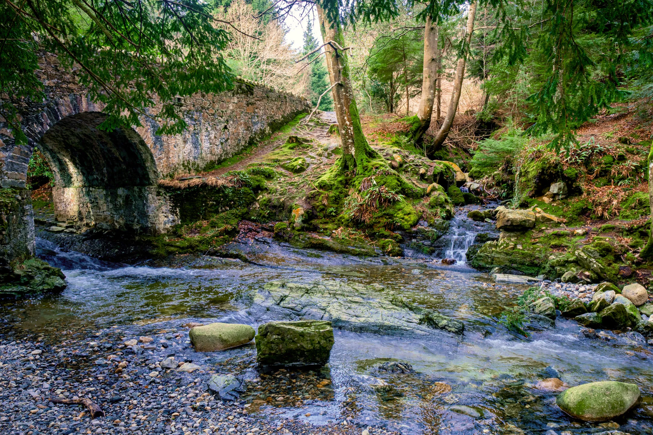 Shallow river under a moss-covered bridge in the forest