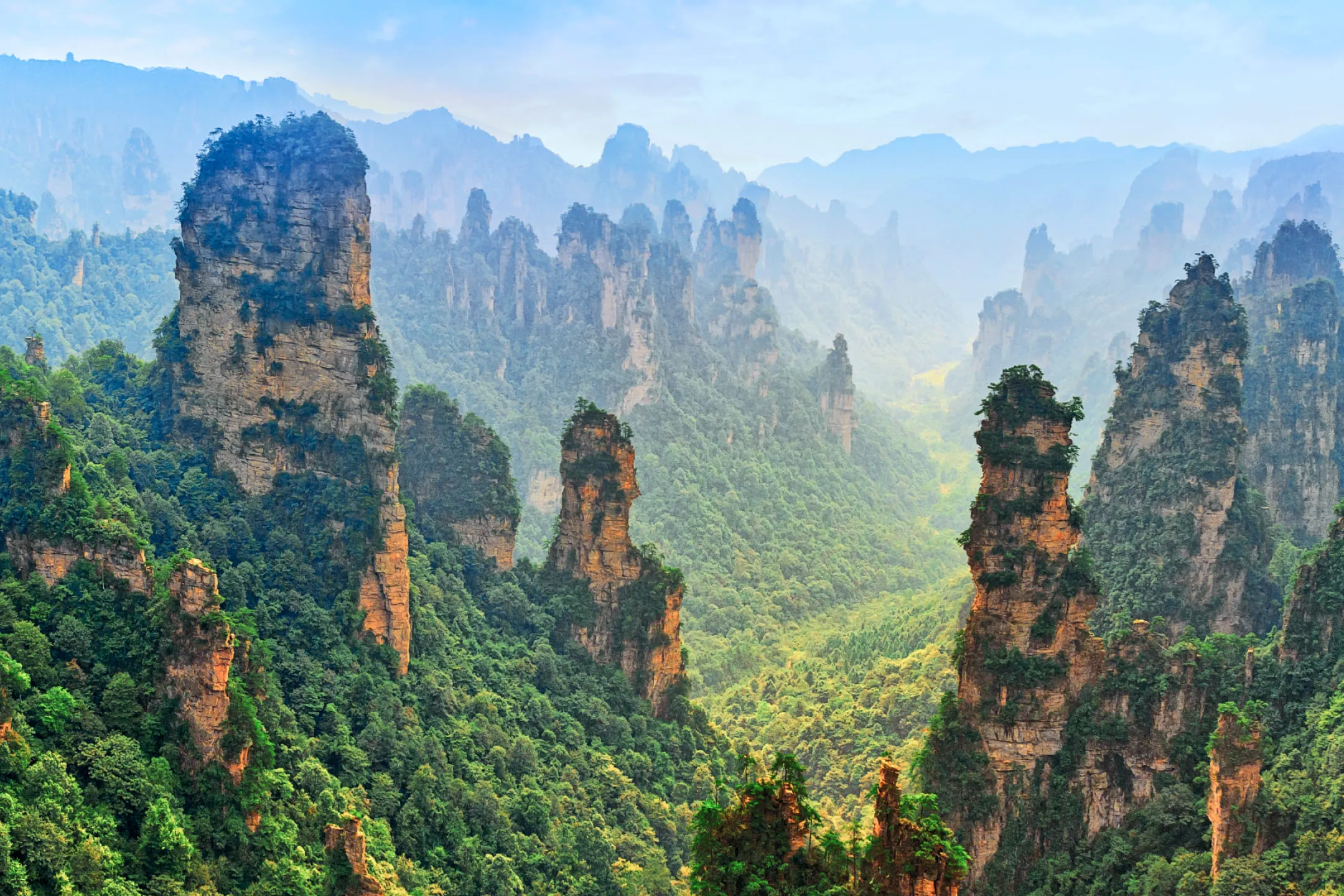 Journey to the filming locations of the movie ‘Avatar’