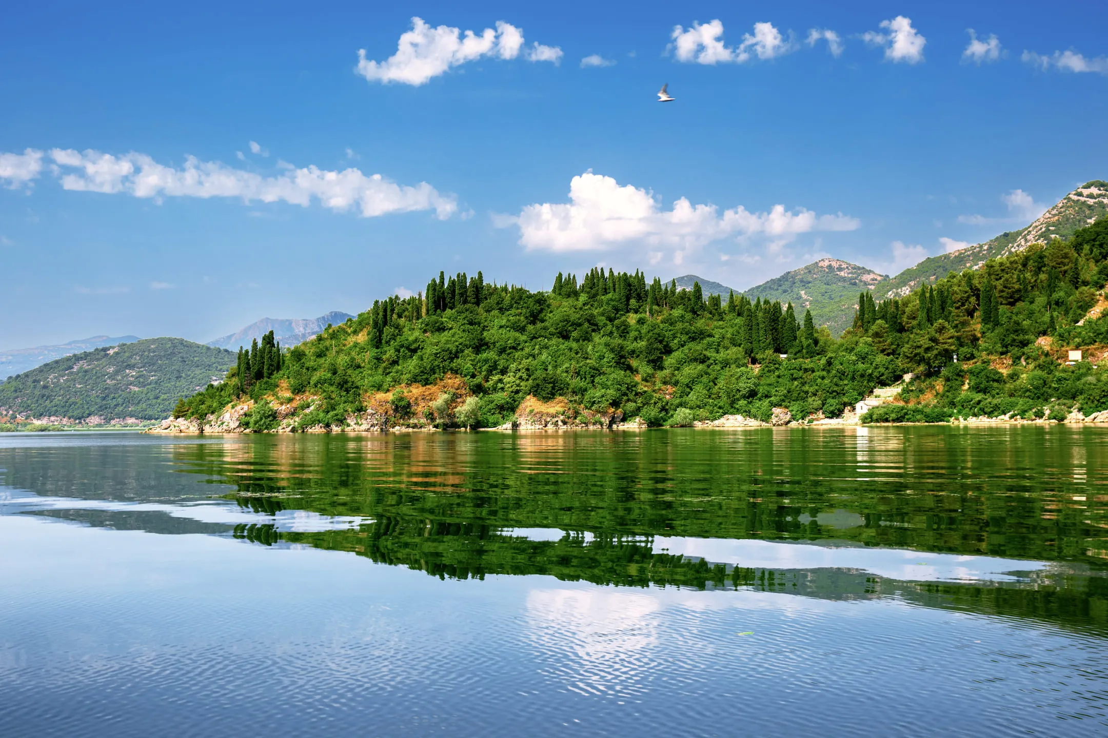 Tops of green fir trees and mountains reflected in a clear lake