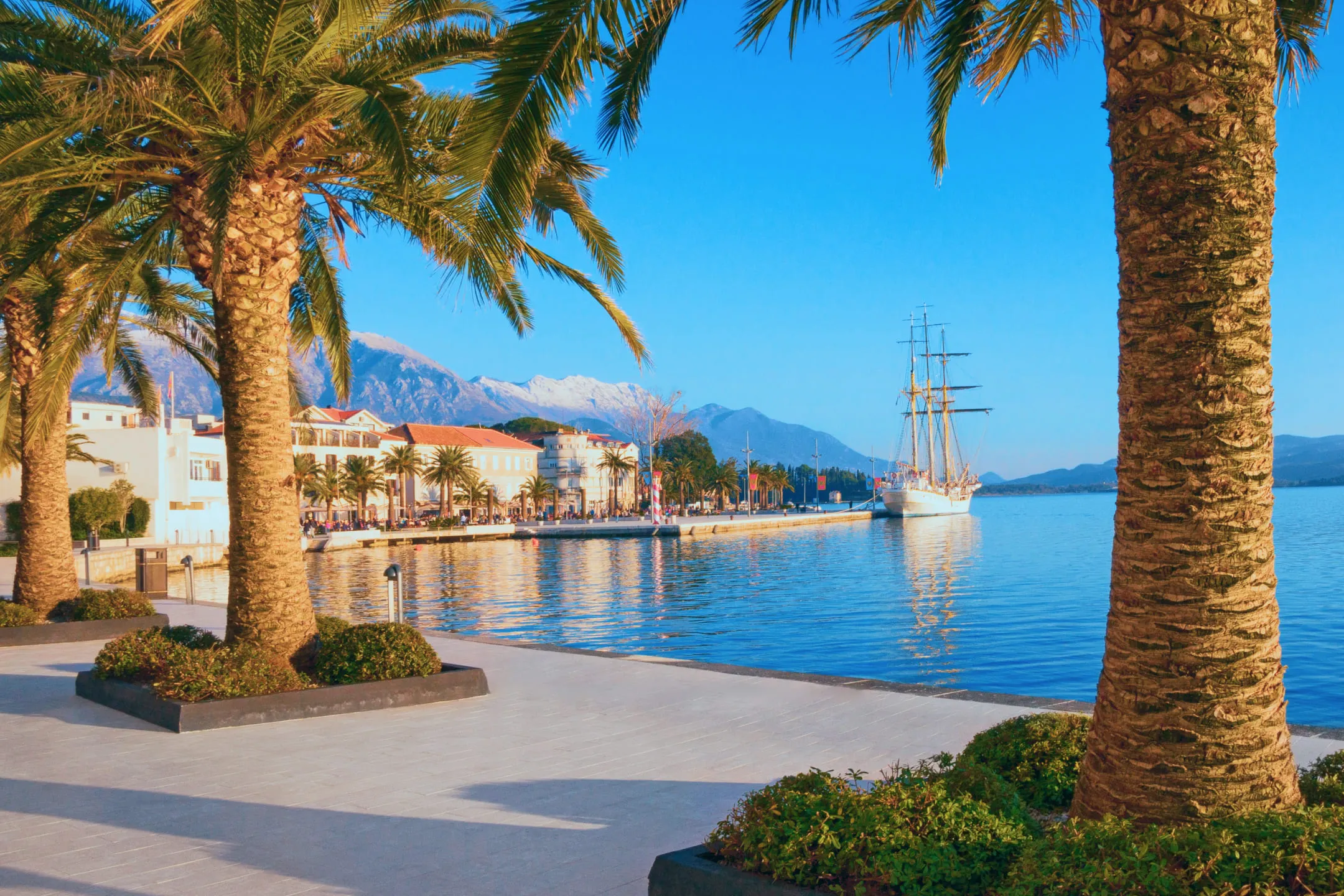 Embankment among palm trees