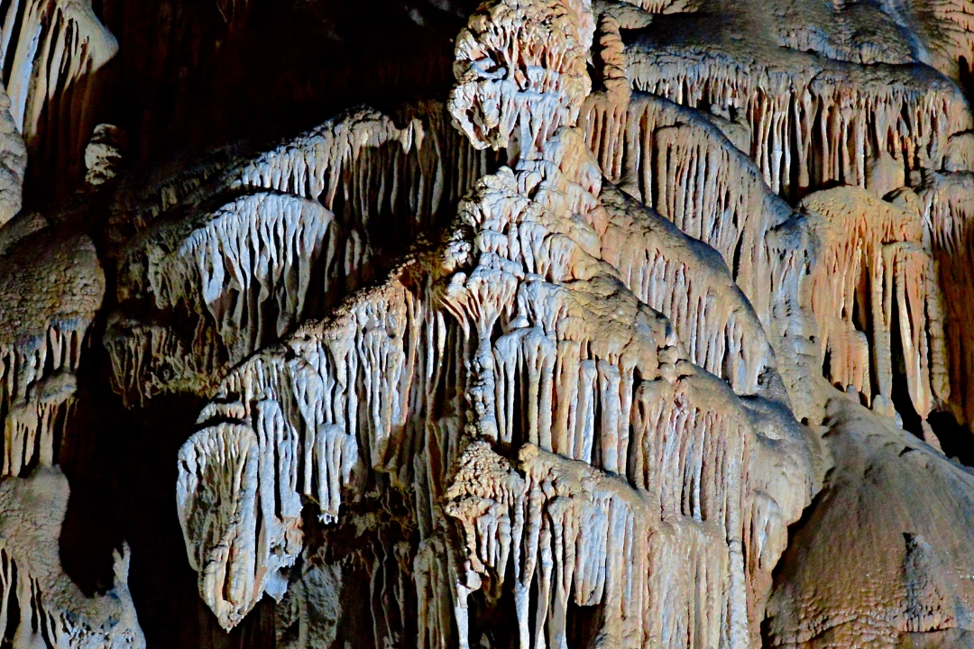Stalagmites in a cave