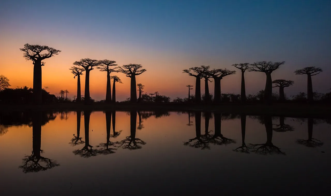 Farther Afield and Where It’s Great: Let’s Fly to Africa