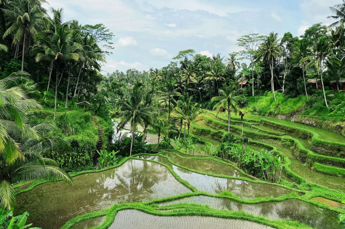 Best Areas in Bali for Choosing a Hotel