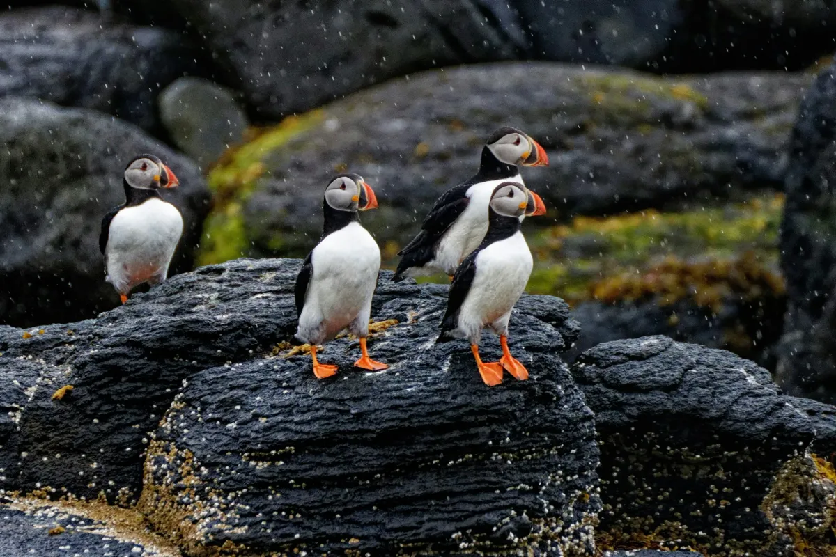 Road Trip in Iceland: Routes, Budget, Tips