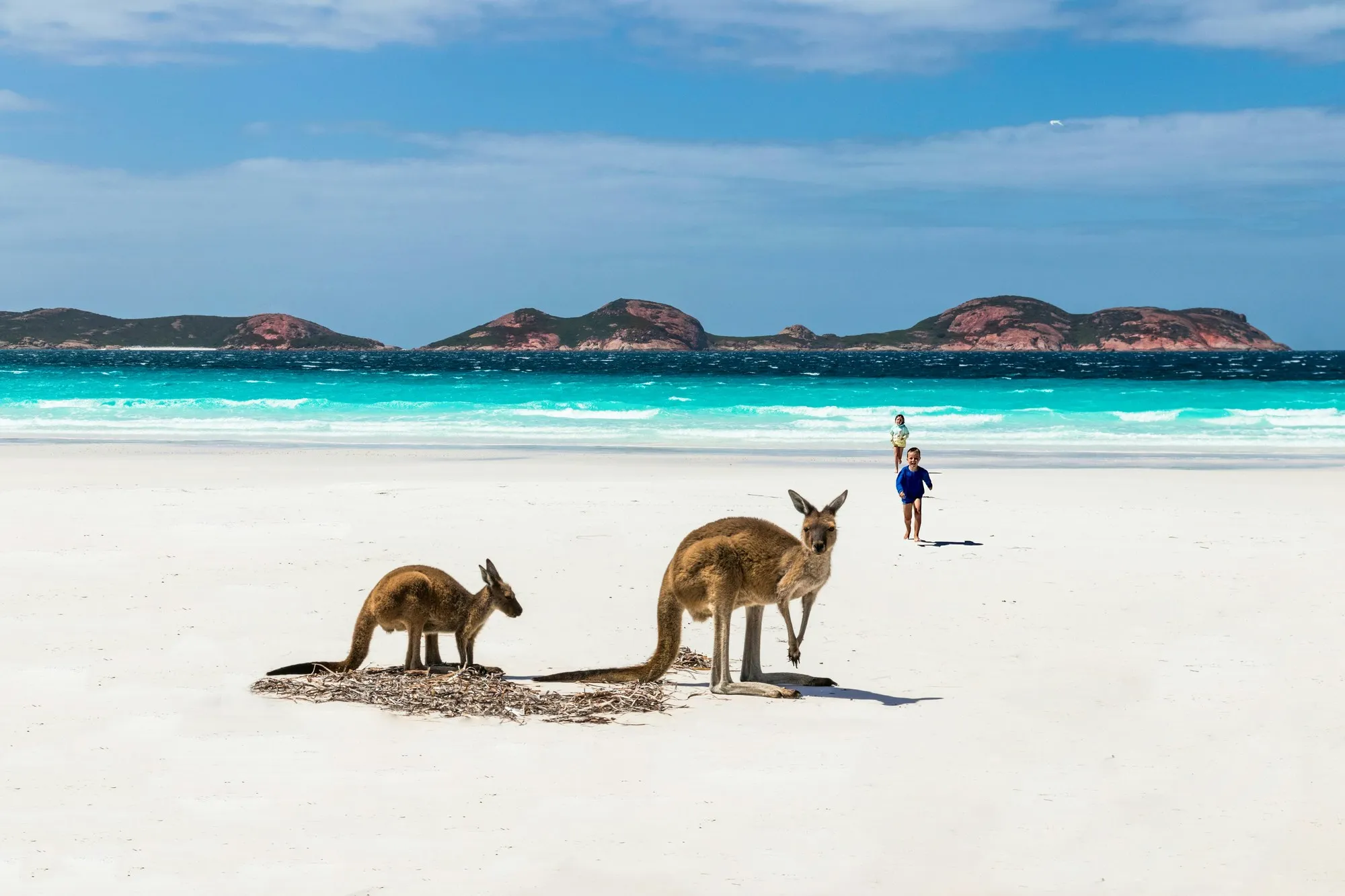 Don’t get confused: Austria, Australia, and other ‘look-alikes’