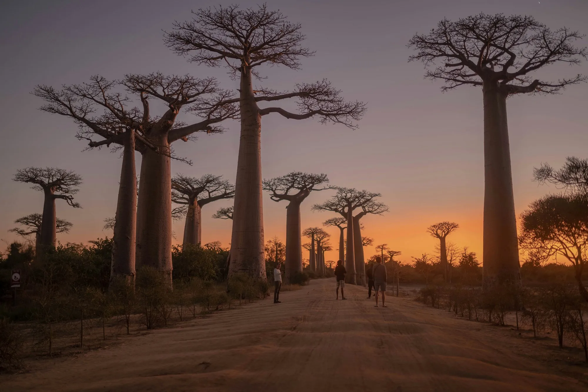 Madagascar: What kind of country, what kind of island, and what were the penguins’ names