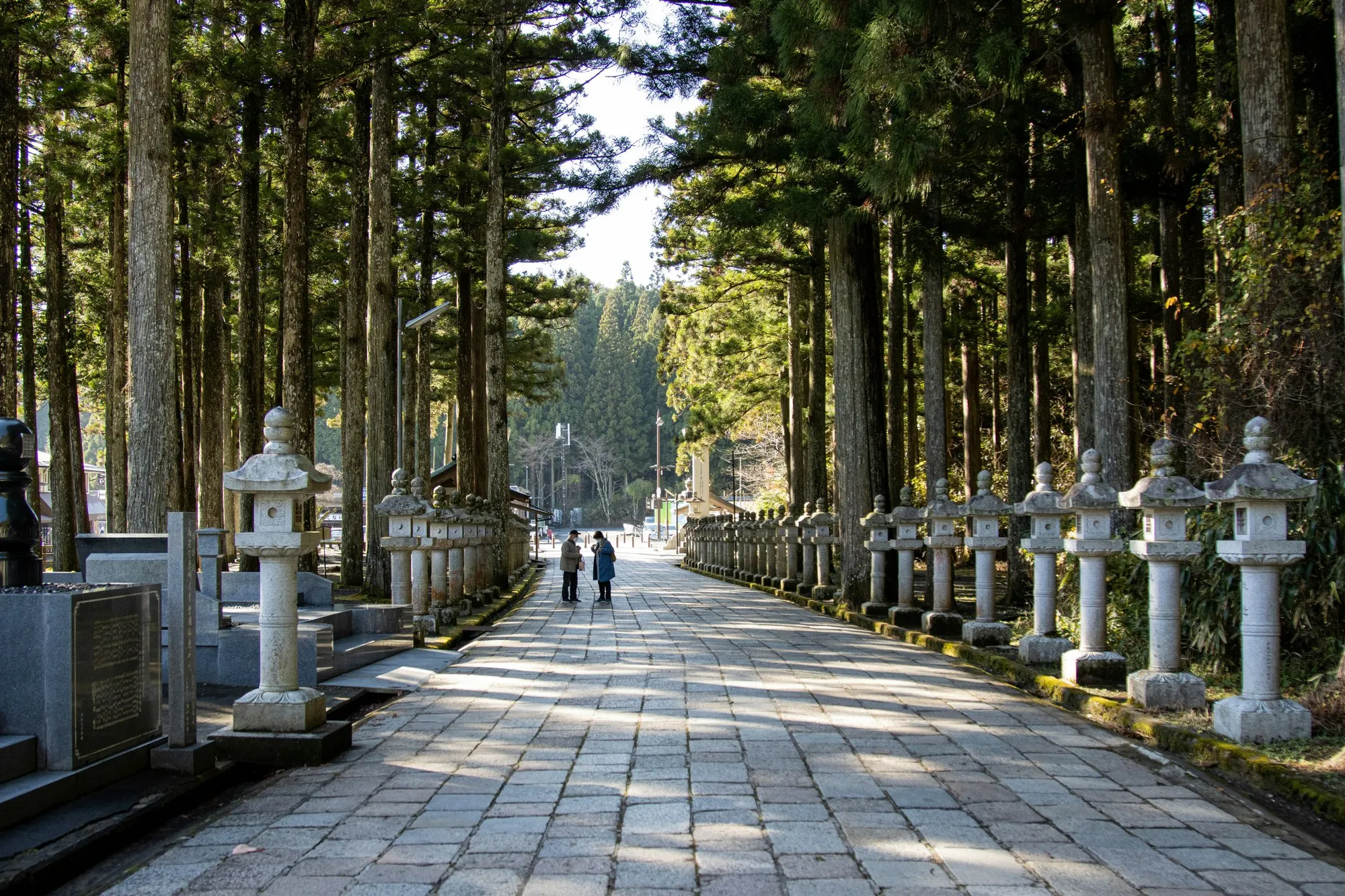 Cemeteries as Museums: A Guide to the Most Beautiful Necropolises
