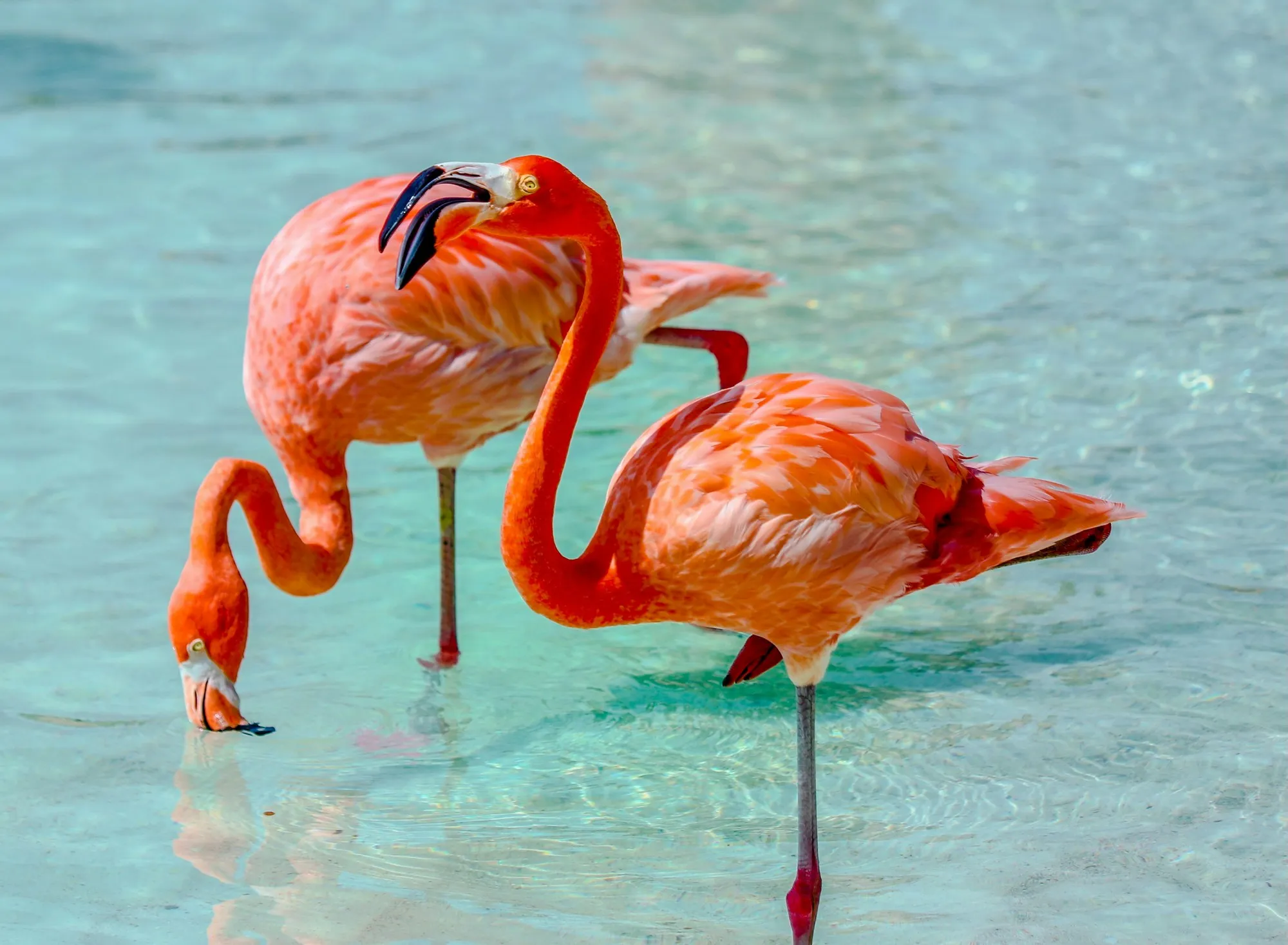 Best Caribbean Islands to Visit in 2026