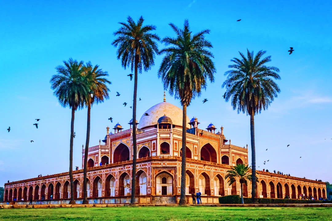 Crows circling over a mosque