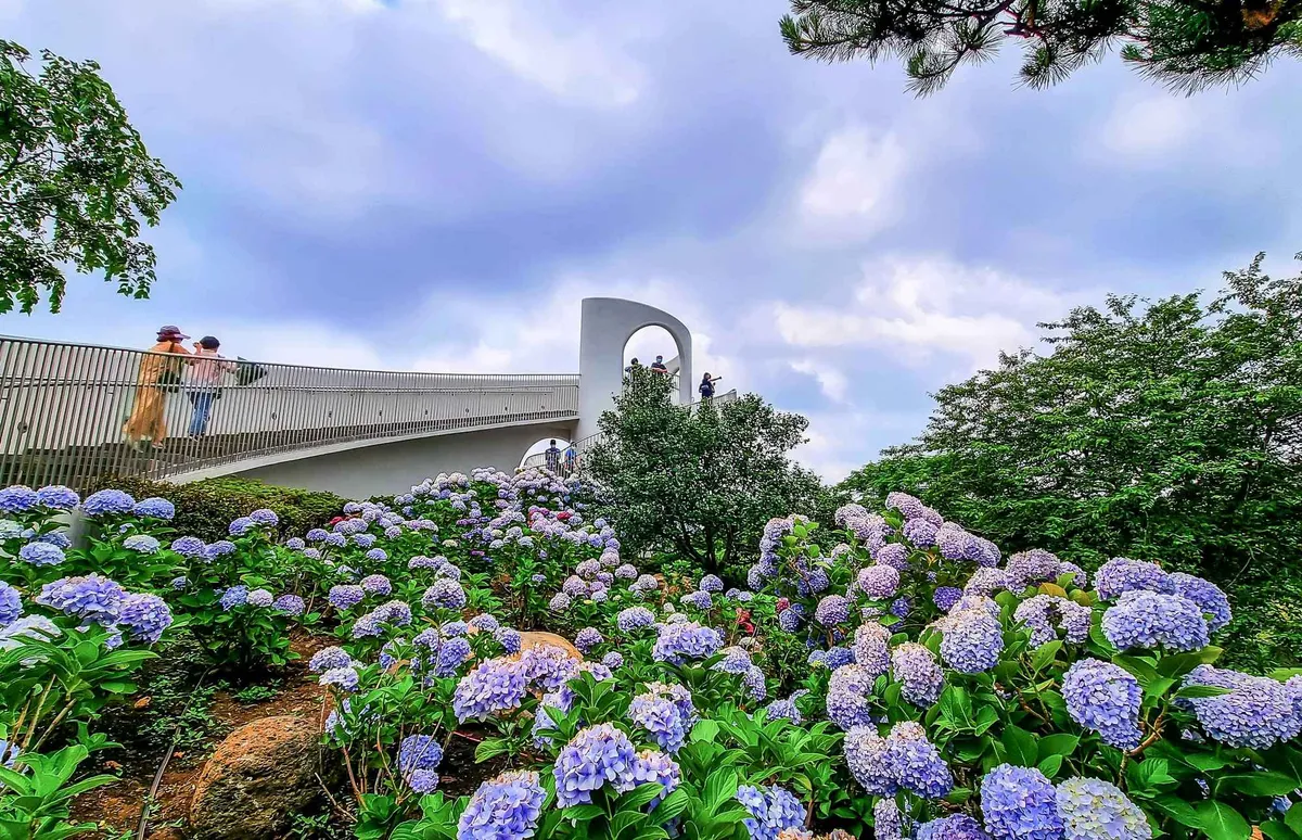 What to do in Korea in spring 2026