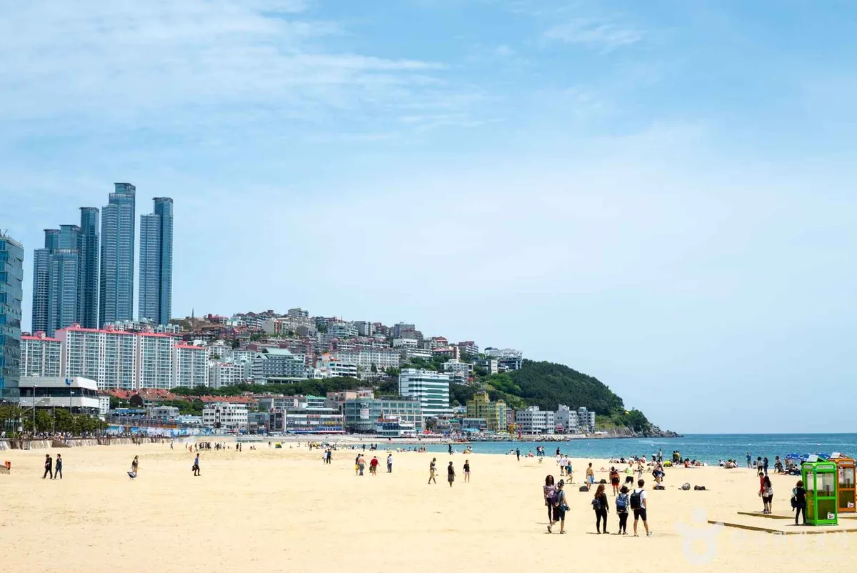 Why visit Korea in summer 2026
