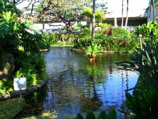 airport garden in Hawaii