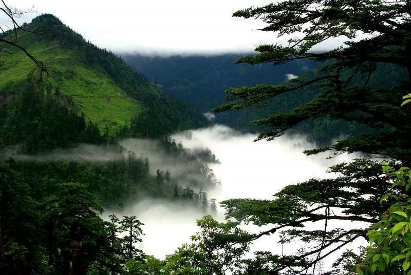 Heizhugou Valley China