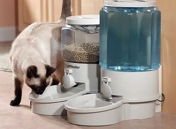 Automatic feeder and water dispenser for a cat