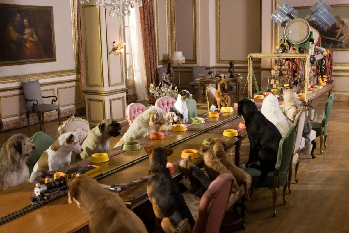 Where to leave your pet during vacation?