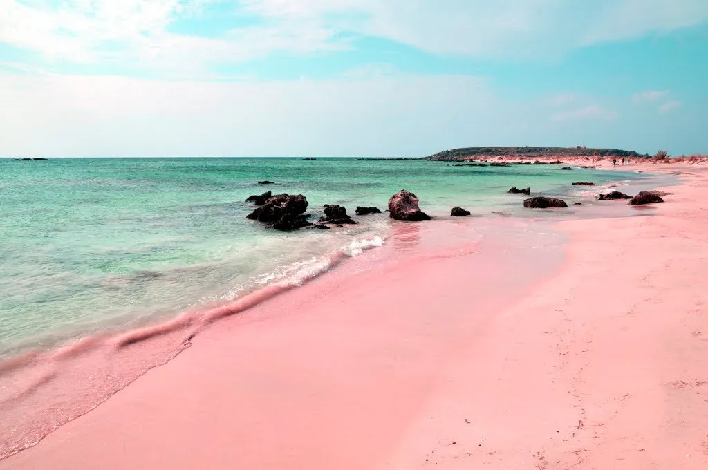 Pink Beach of Harbour Island in the Bahamas