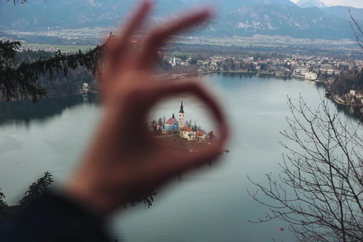 bled6