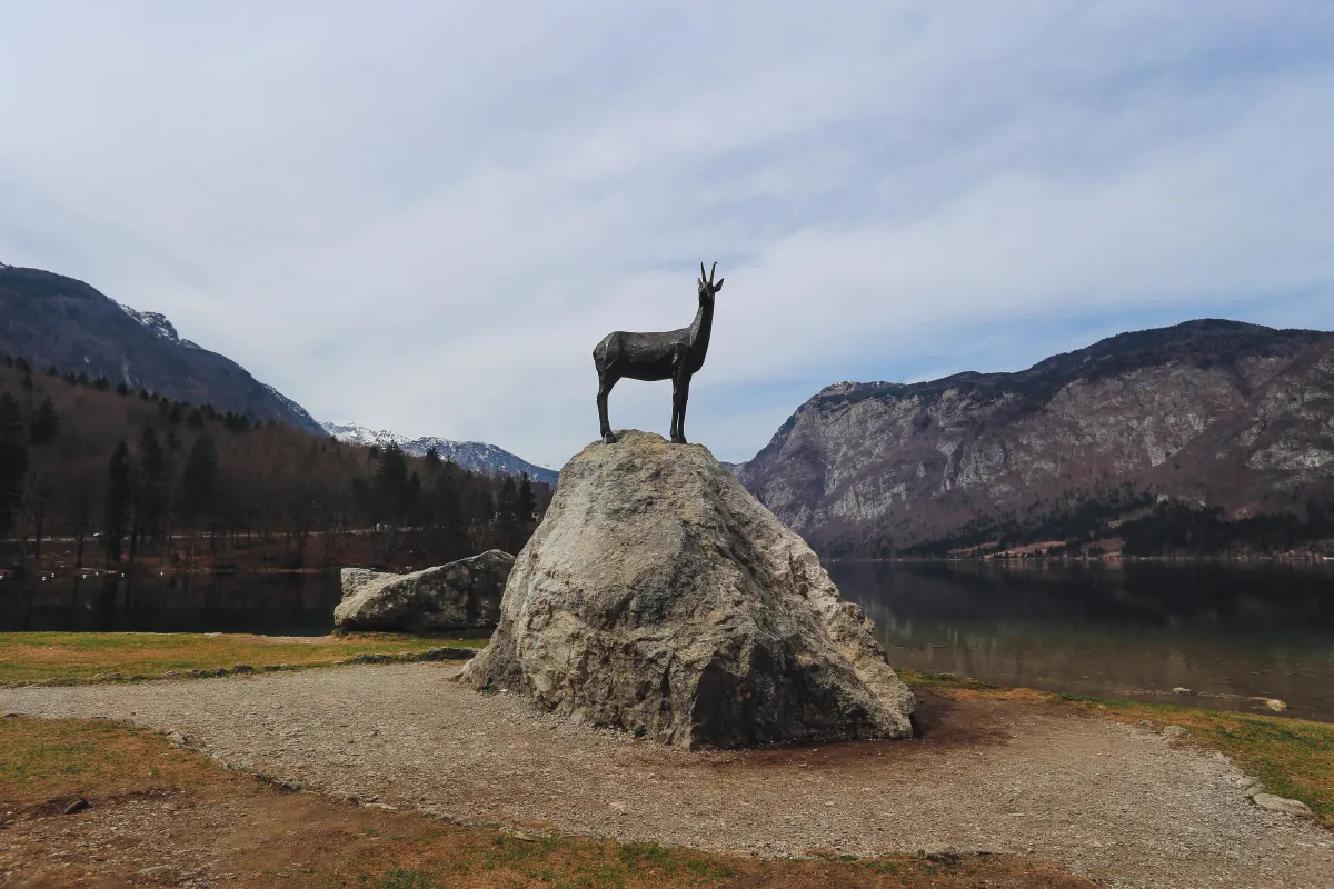 bohinj zlatorog