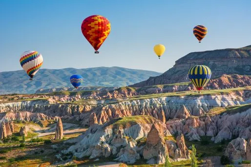 shutterstock_507431026