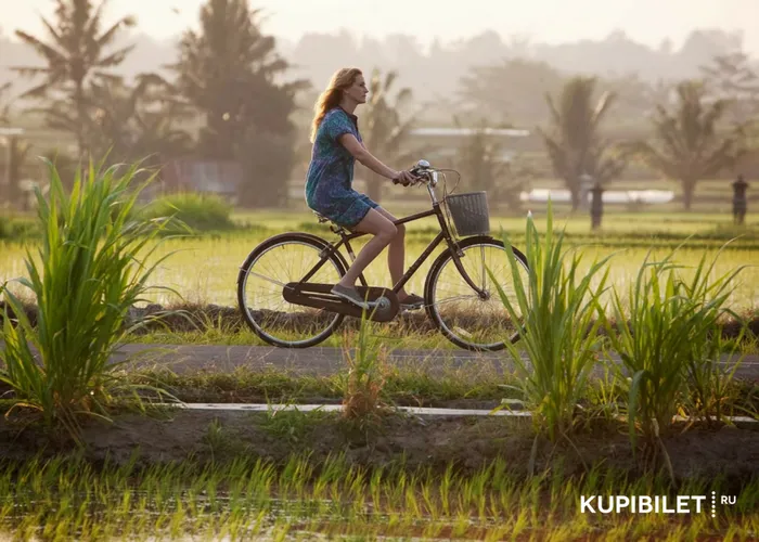 TOP 20 Travel Films