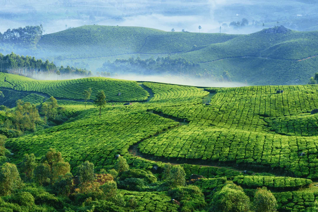 Kerala