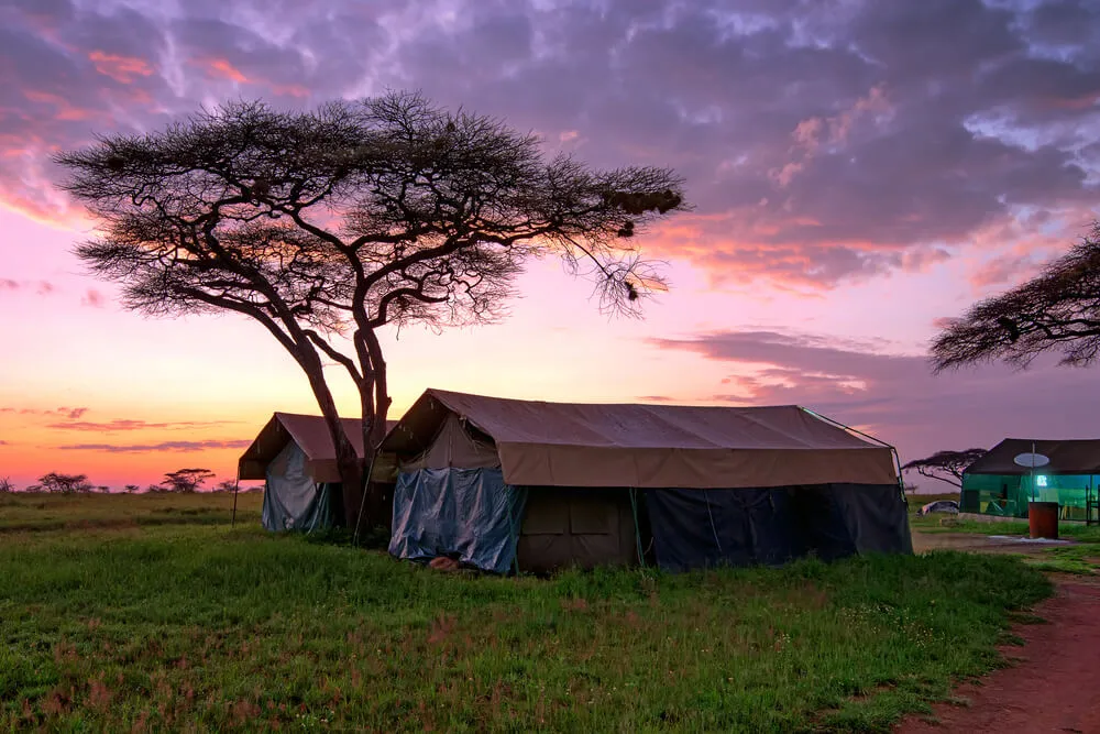 Hotel and camping in Tanzania