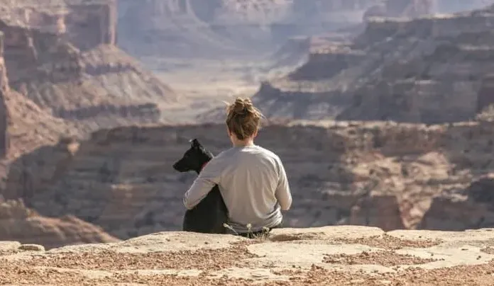 Countries with Pet-Friendly Hotels