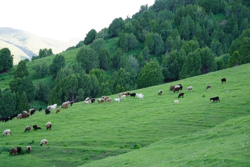 Kyrgyzstan