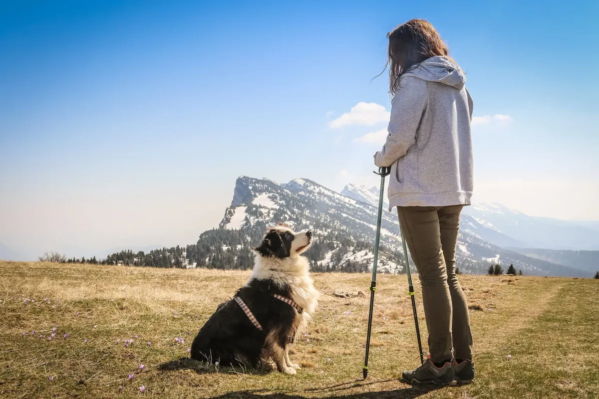 Traveling with a dog in the mountains
