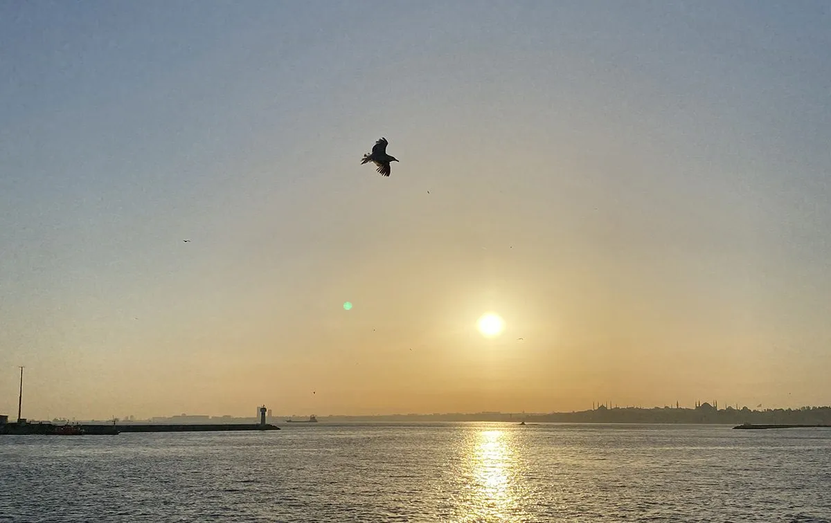 Sea view at sunset