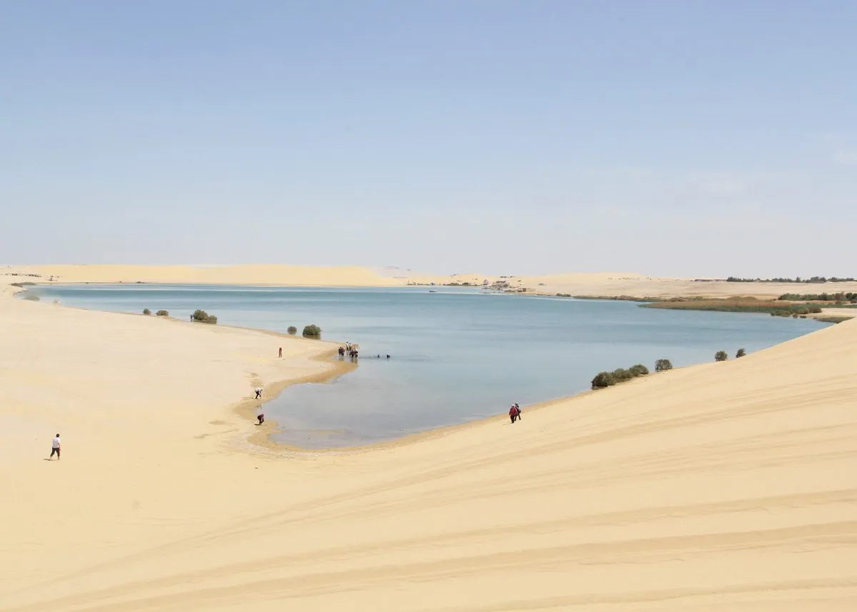 Shallow lake in the middle of the desert