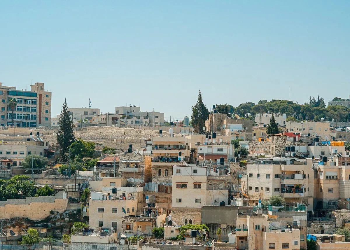 Firs among a multi-level city