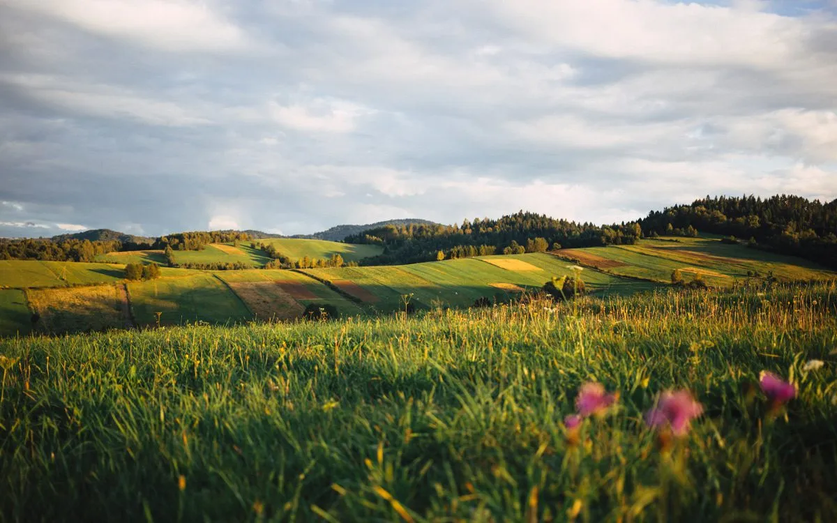 What is ecotourism and where to practice it