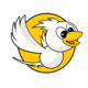 NokScoot