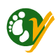 Yeti Airlines