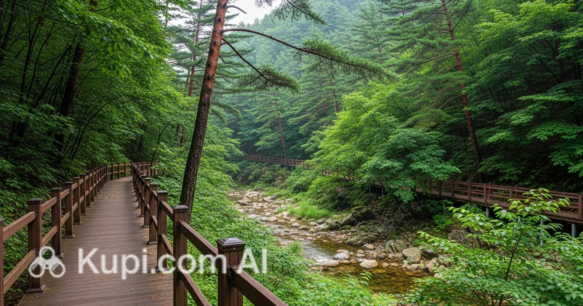 https://www.kupi.com/kland-storage/images/1200x630/50x50//attractions/kr/yangyang/songi-valley-natural-recreation-forest/c2cf309b-500a-4fd6-8471-fd2172014590.webp